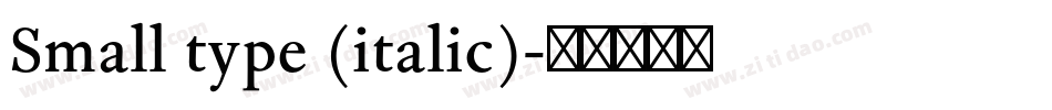 Small type (italic)字体转换